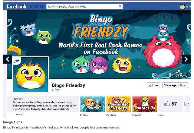 Facebook Bingo Friendzy